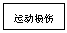 文本框: 运动损伤